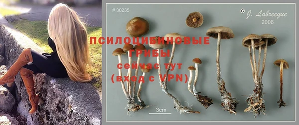 марихуана Абаза