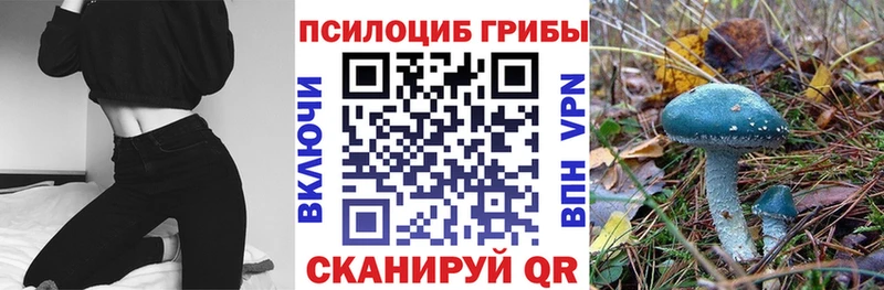 магазин продажи   Барнаул  кракен ТОР  Галлюциногенные грибы прущие грибы 